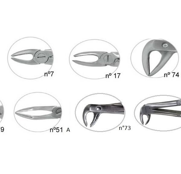 Forceps BELKYS